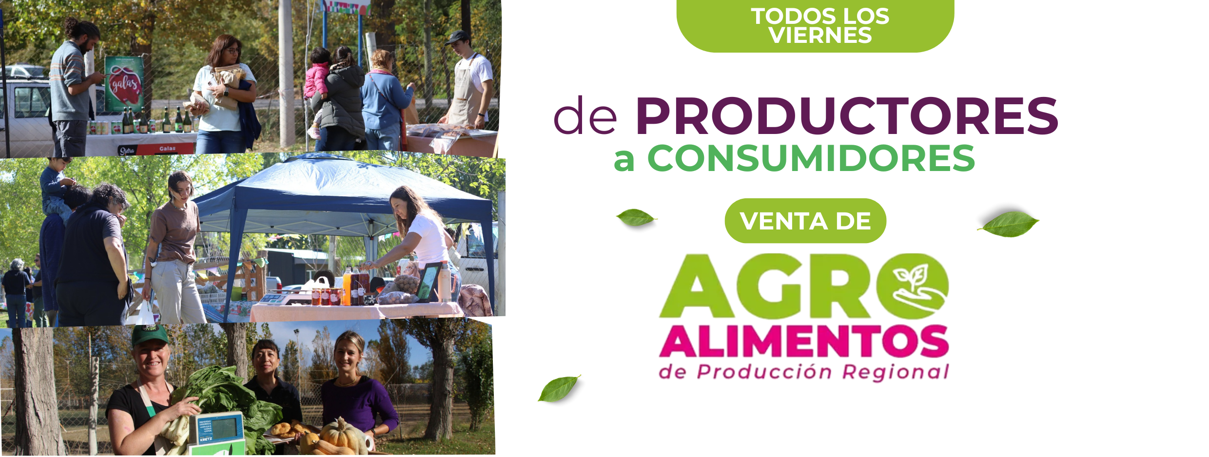 imagen informativa1