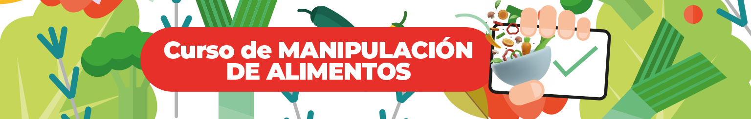 Banner Curso Carnet de Manipulación