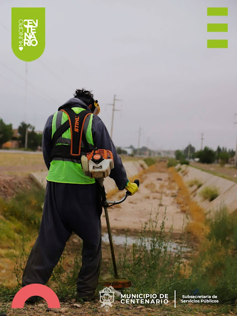 Imagen de TERCERA ETAPA: CONTINÚA EL OPERATIVO DE LIMPIEZA EN LA AVENIDA TRAFUL 