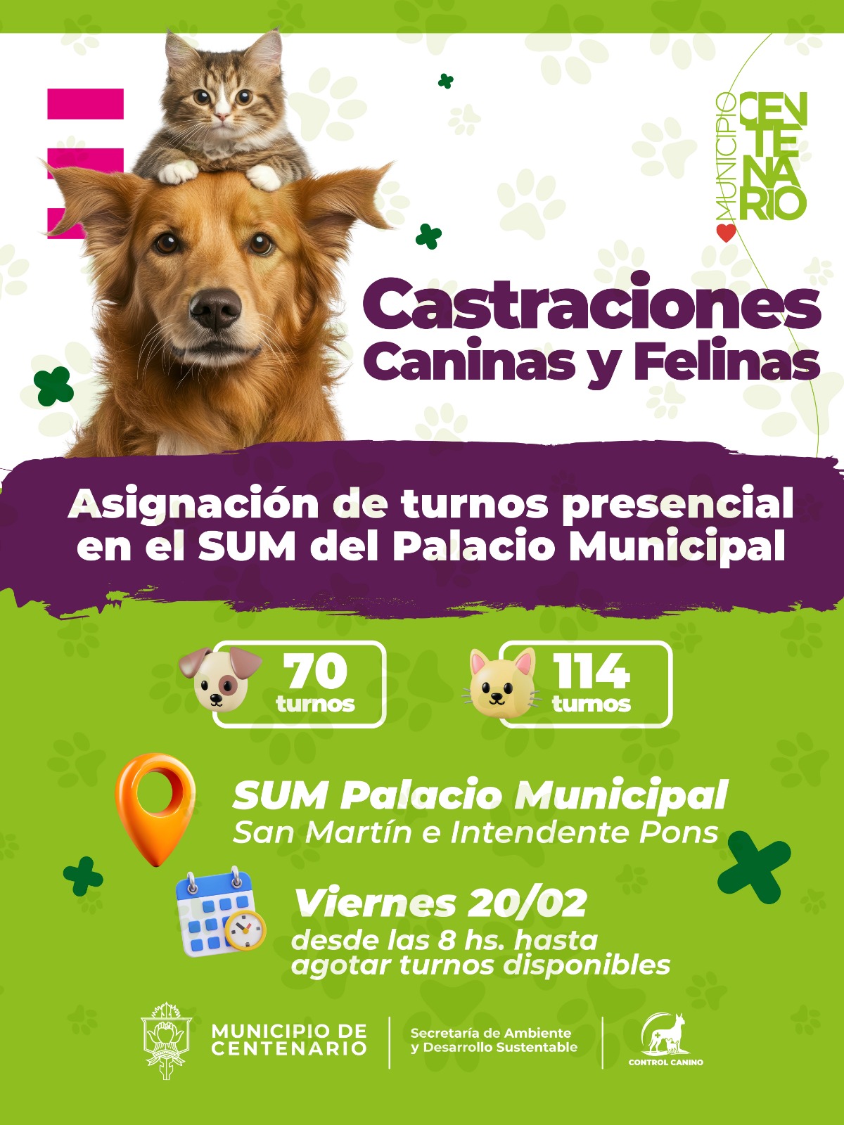 Imagen de PRIMERA ENTREGA DEL AÑO DE TURNOS PARA CASTRACIONES CANINAS Y FELINAS