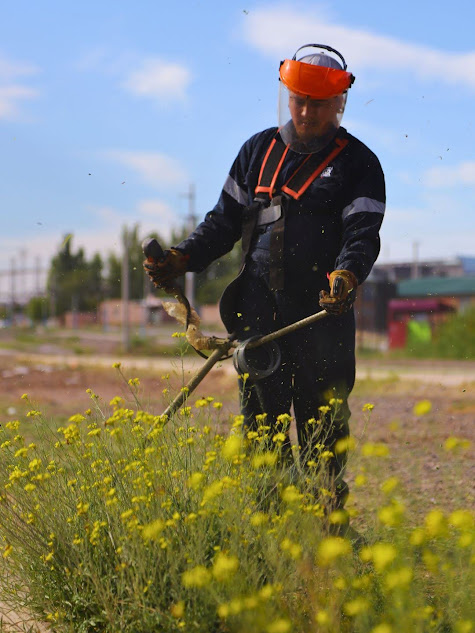 Imagen de TERCERA ETAPA DE TRAFUL: FINALIZÓ EL OPERATIVO DE LIMPIEZA
