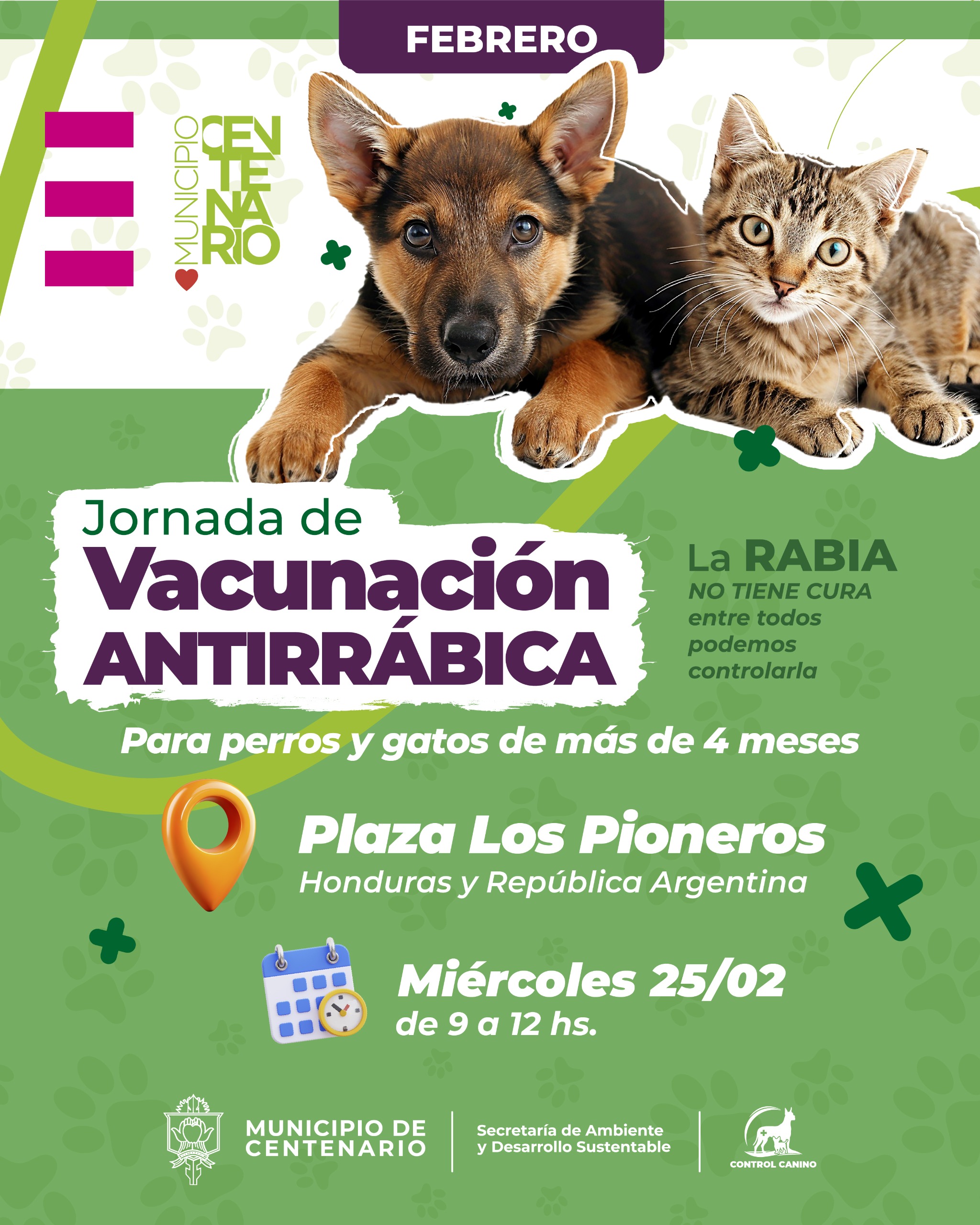 Imagen de JORNADAS ITINERANTES DE VACUNACIÓN ANTIRRÁBICA Y DESPARASITACIÓN EN PLAZA LOS PIONEROS