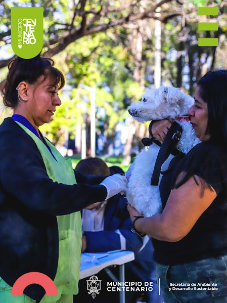 Imagen de SE CONCRETÓ UNA NUEVA JORNADA ANTIRRÁBICA Y DE DESPARASITACIÓN EN PLAZA SAN MARTÍN