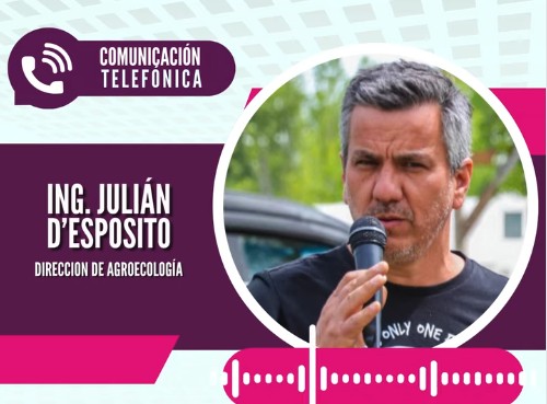 Imagen de LAS FERIAS DE LOS VIERNES SE TRASLADAN A LAS PLAZAS PARA ESTAR MÁS CERCA DE LOS VECINOS