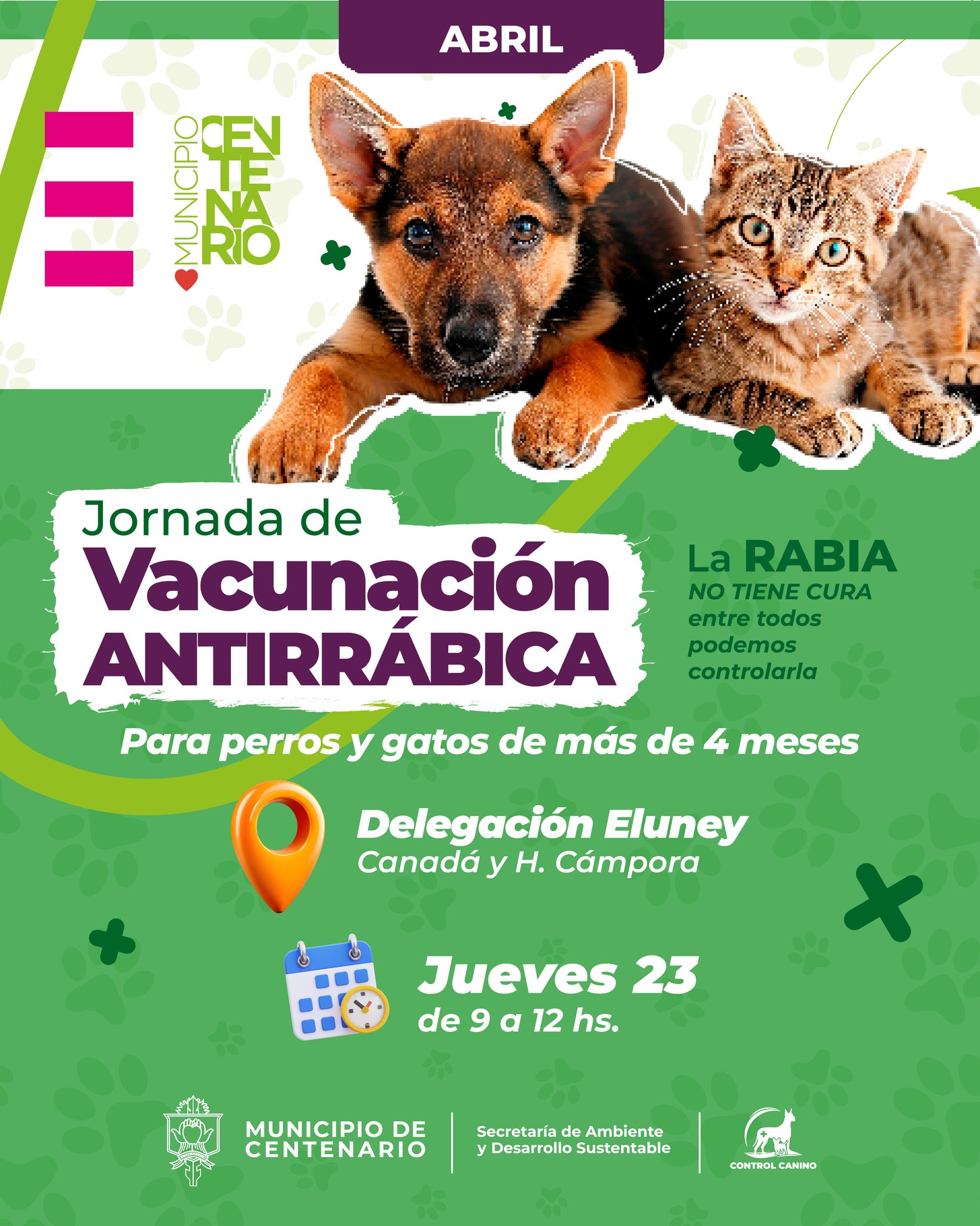 Imagen de DELEGACIÓN ELUNEY: MAÑANA HABRÁ UNA JORNADA GRATUITA DE VACUNACIÓN ANTIRRÁBICA 
