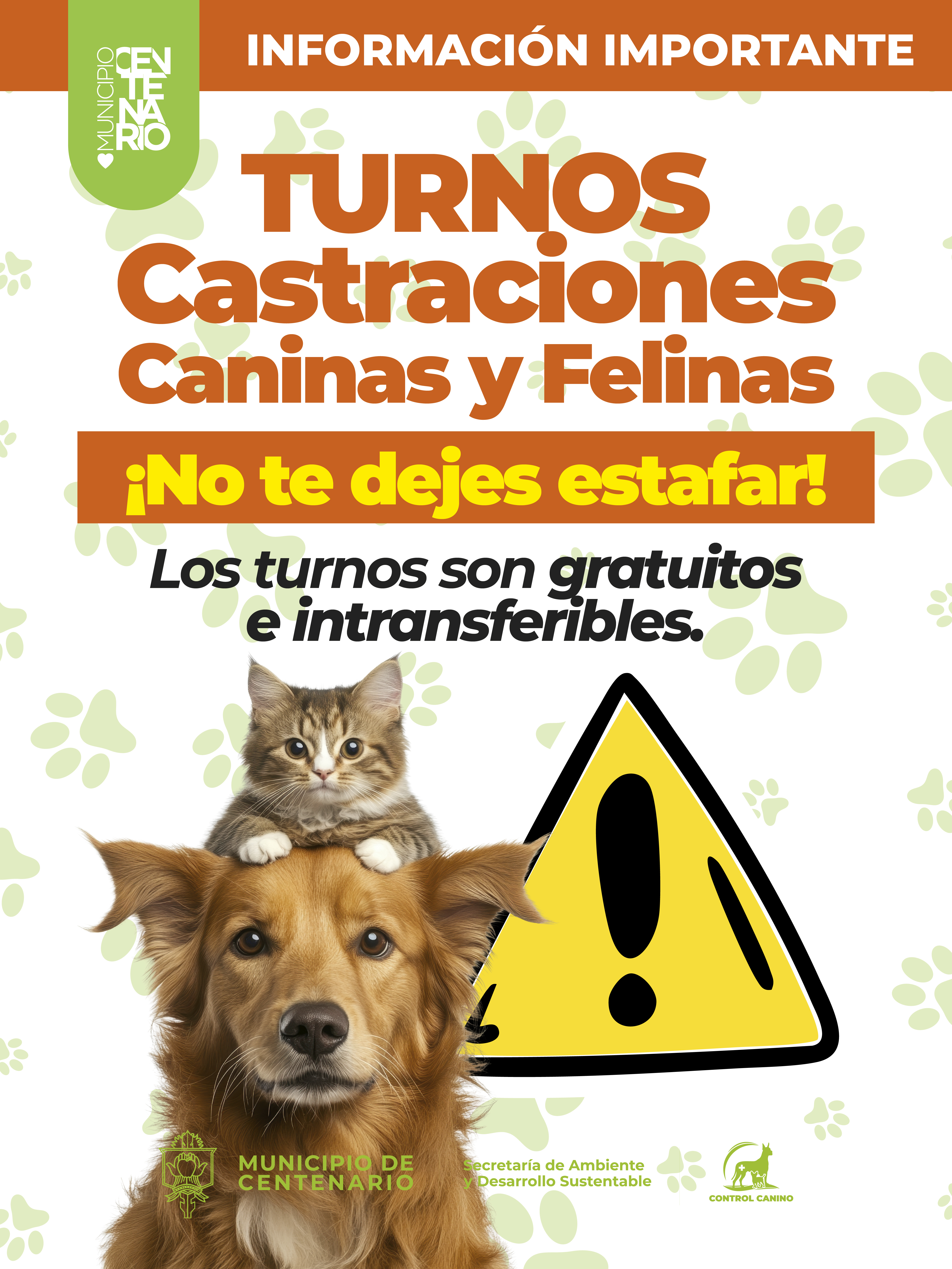 Imagen noticia