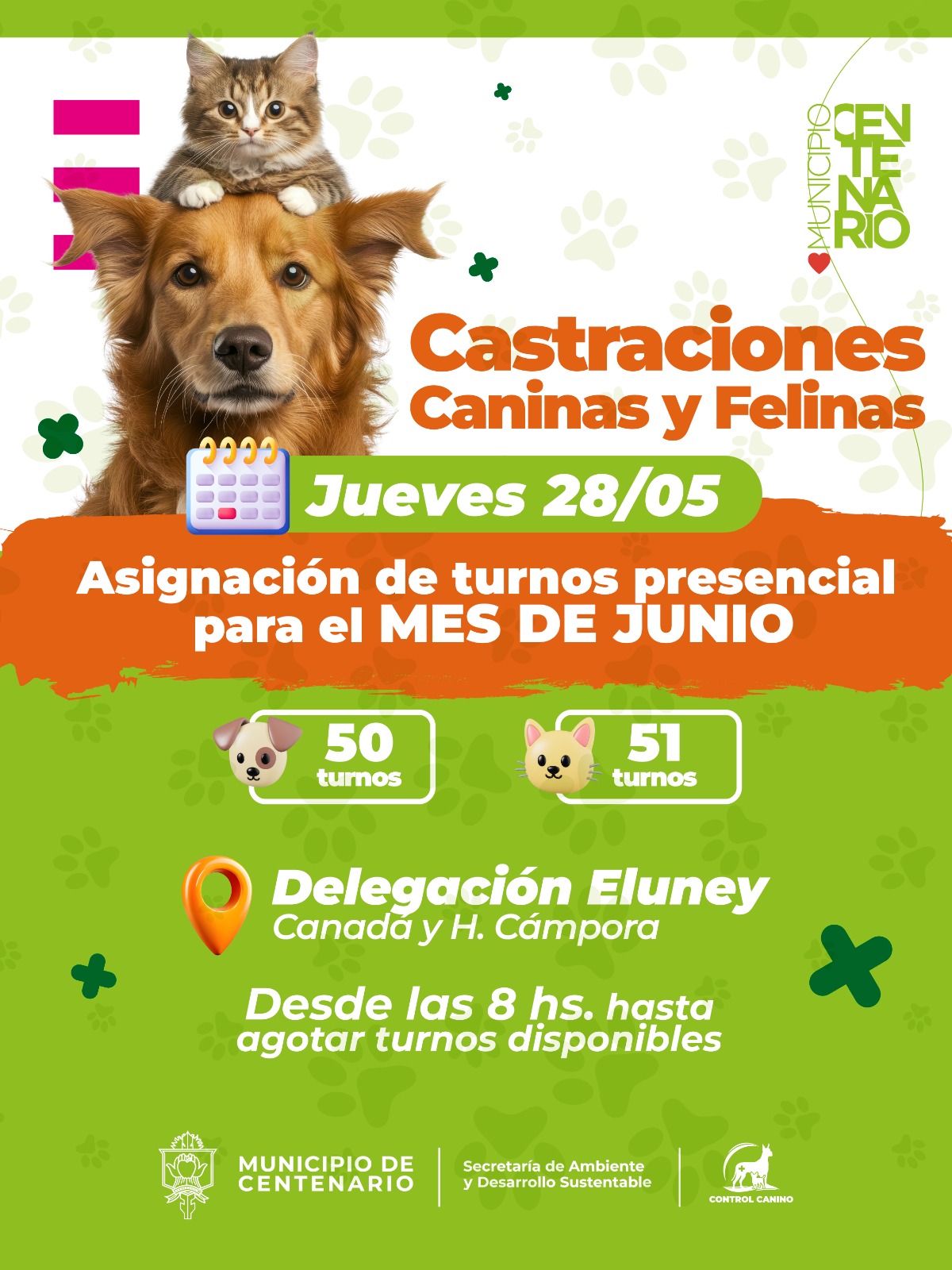 Imagen noticia