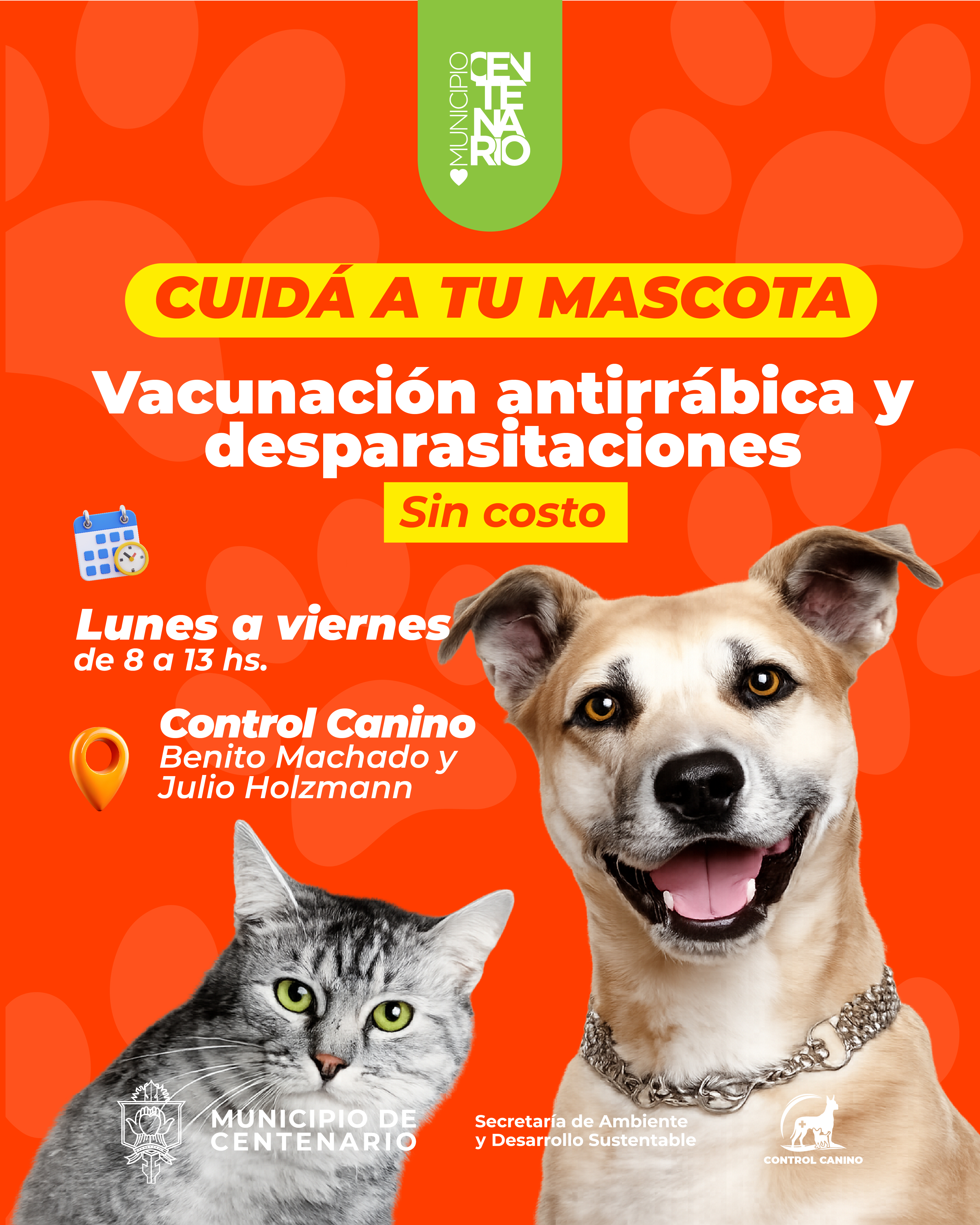 Imagen de CONTINÚA LA CAMPAÑA GRATUITA DE VACUNACIÓN ANTIRRÁBICA Y DESPARASITACIÓN DE MASCOTAS EN CENTENARIO