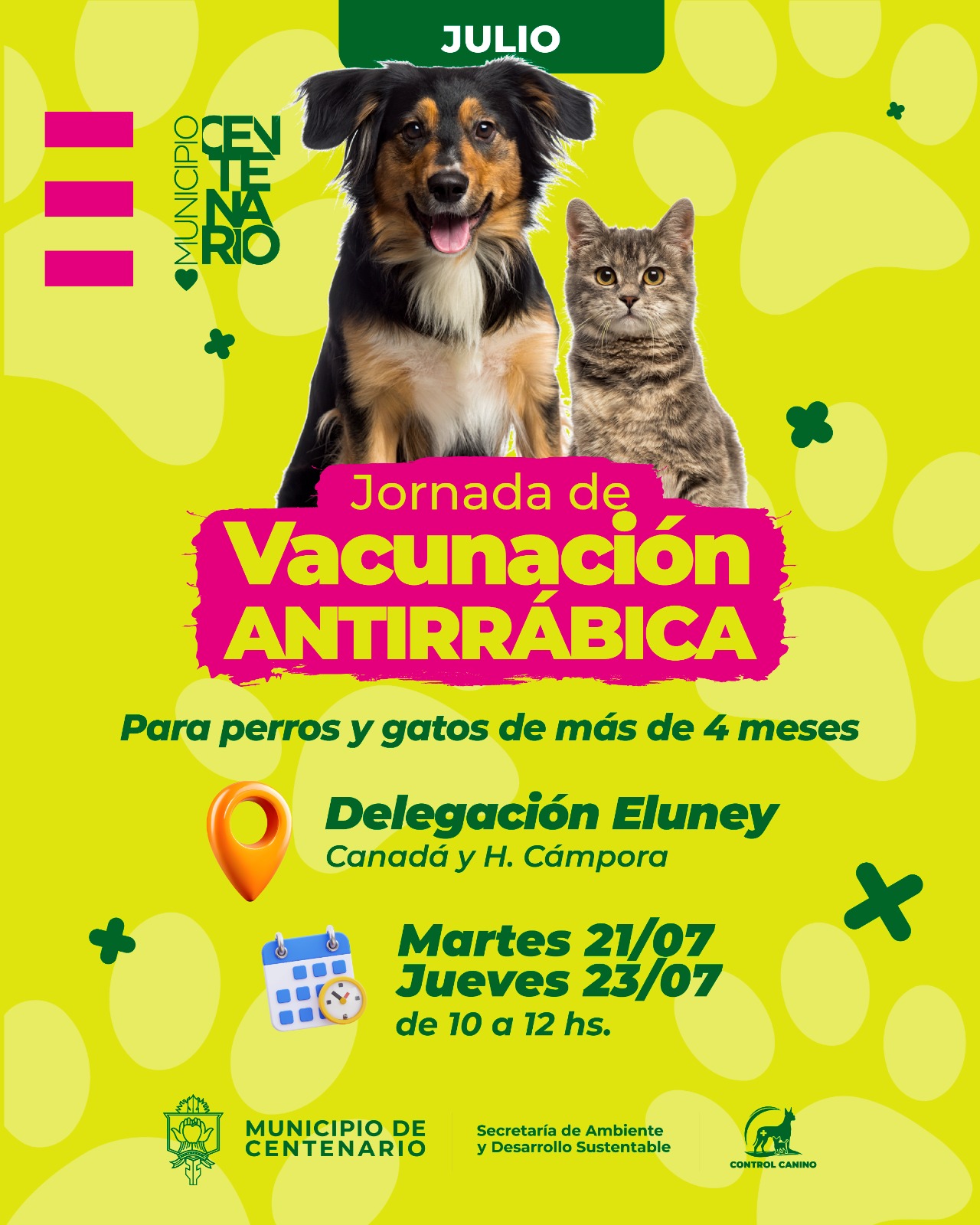 Imagen de EL MUNICIPIO REALIZARÁ DOS JORNADAS GRATUITAS DE VACUNACIÓN ANTIRRÁBICA PARA PERROS Y GATOS