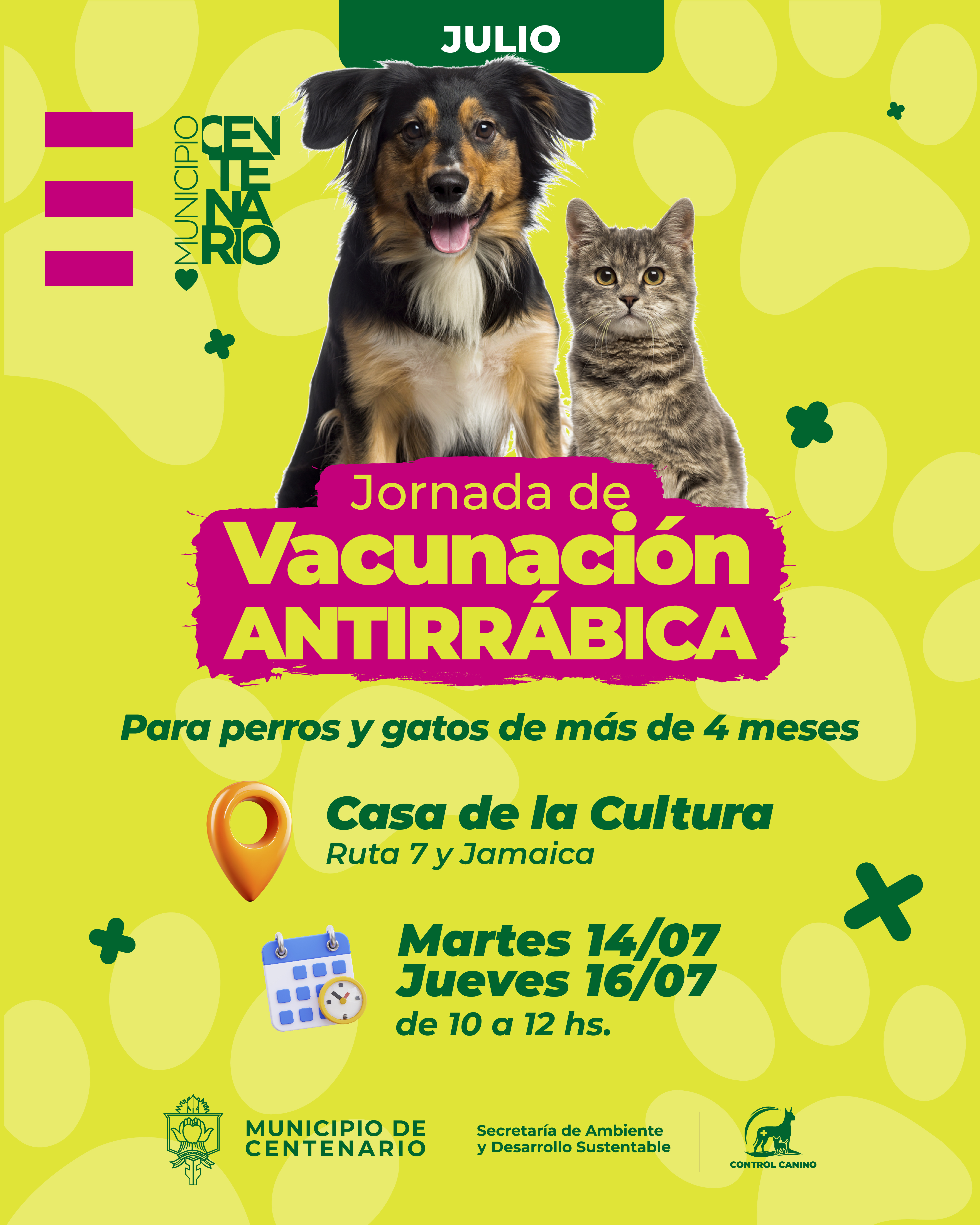 Imagen noticia