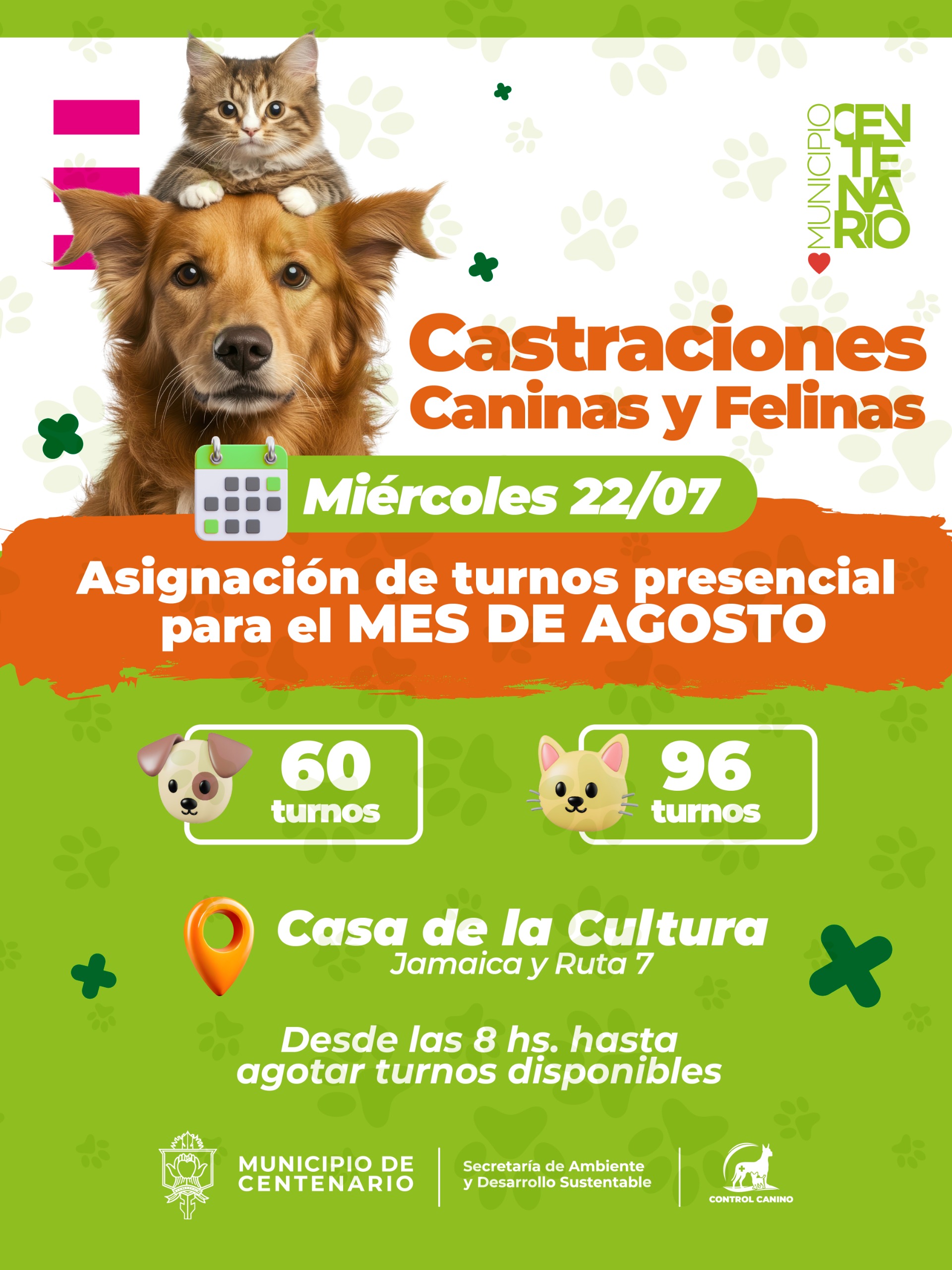 Imagen noticia
