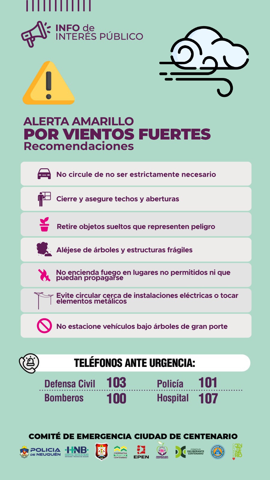 Imagen de VIENTOS FUERTES: RECOMENDACIONES PARA PREVENIR RIESGOS