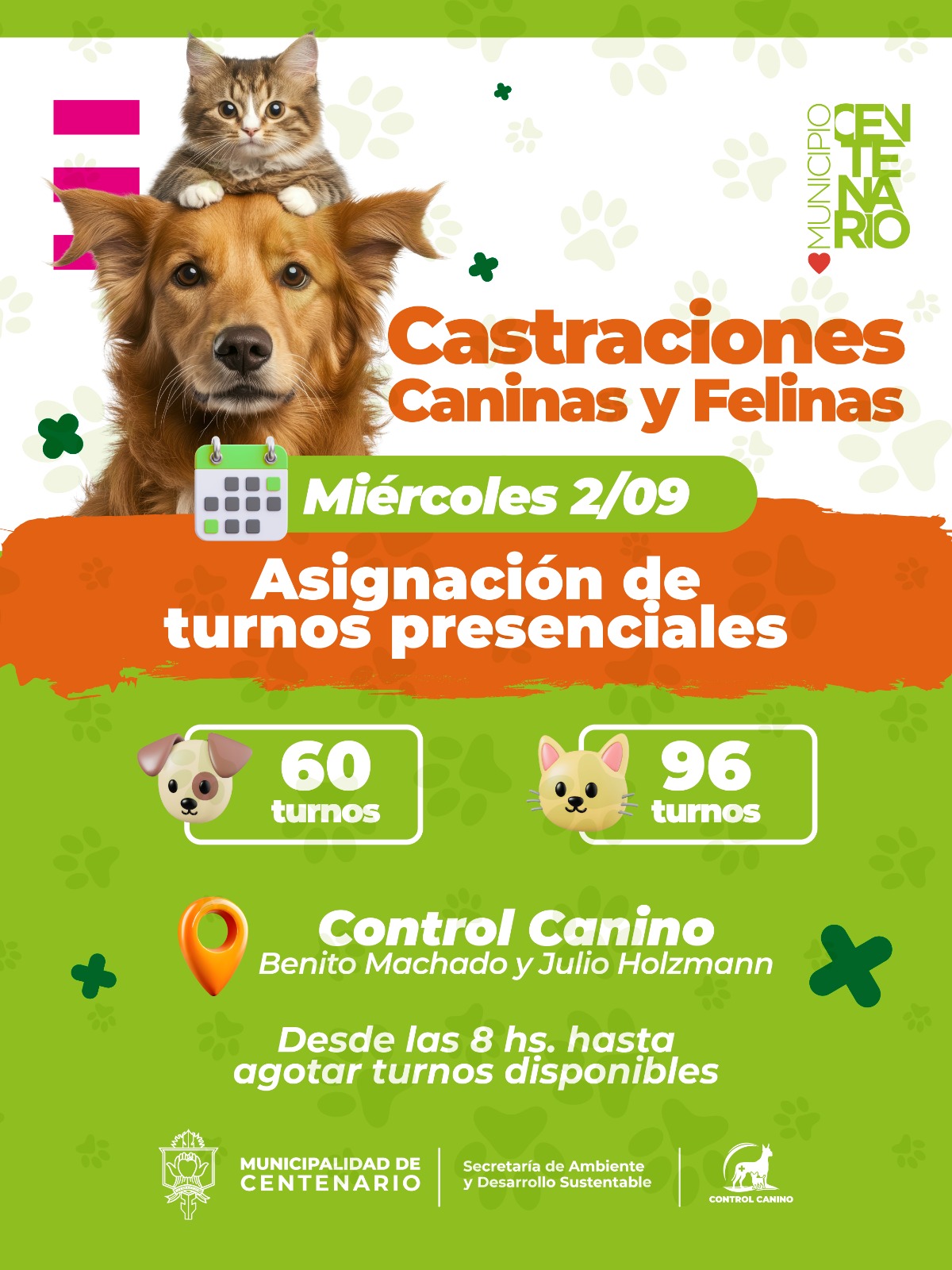 Imagen noticia