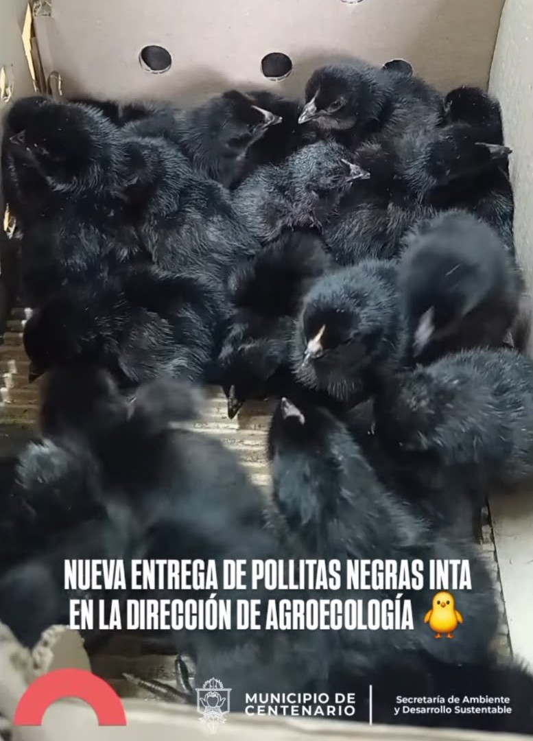 Imagen noticia